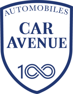 ECUSSON CAR Avenue 100 ans monochrome bleu